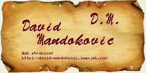 David Mandoković vizit kartica